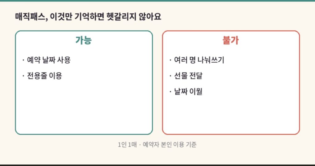 롯데월드 매직패스 사용 시 가능한 것과 불가능한 것을 정리한 인포그래픽