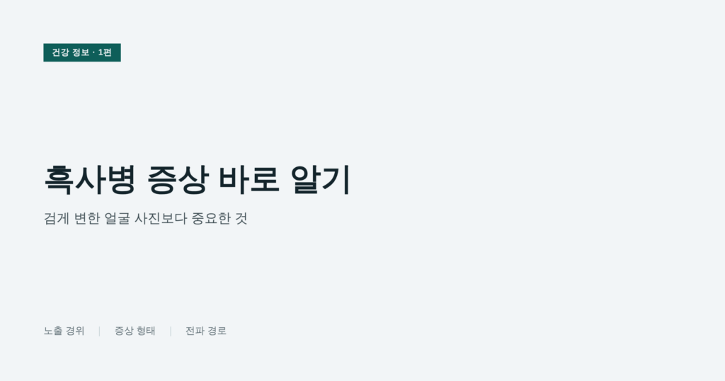 흑사병(페스트) 증상과 전염 경로를 안내하는 섬네일 이미지, 노출 경위·증상 형태·전파 경로 텍스트 포함